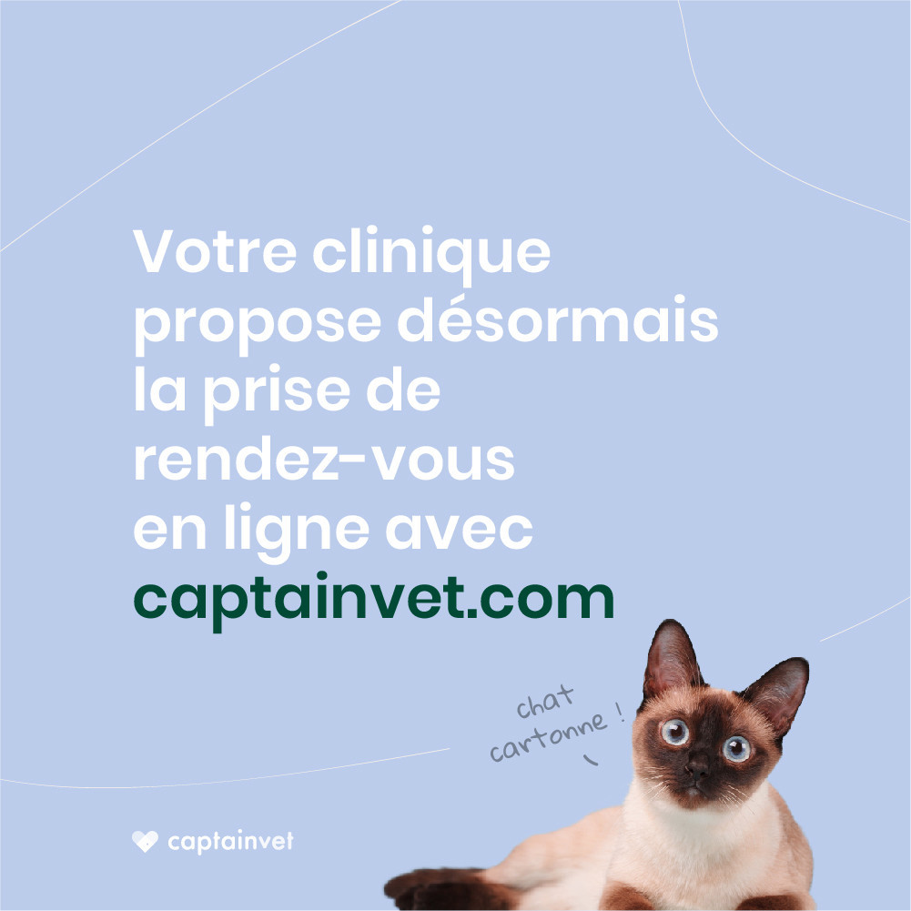 Avec Captain Vet prenez rendez-vous en un clic !