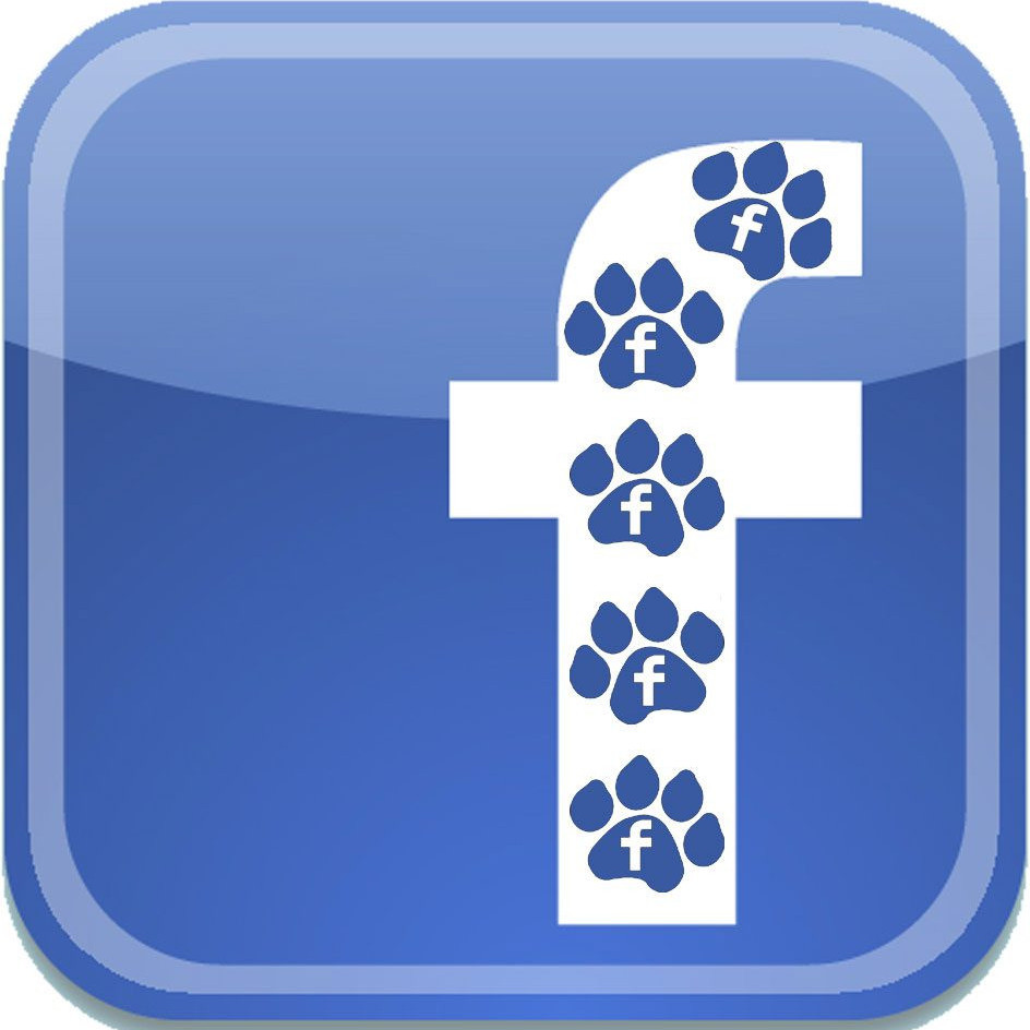 Suivez nous sur facebook !